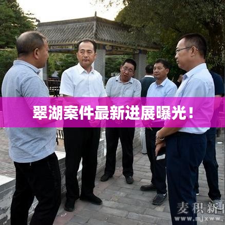 翠湖案件最新进展曝光!
