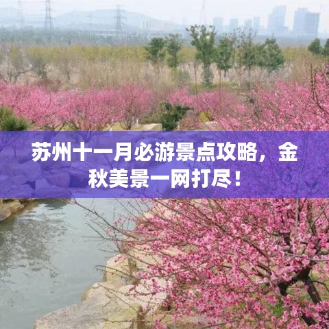 苏州十一月必游景点攻略,金秋美景一网打尽!