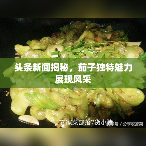 头条新闻揭秘，茄子独特魅力展现风采