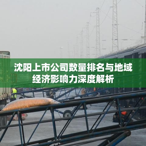 沈阳上市公司数量排名与地域经济影响力深度解析