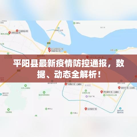平阳县最新疫情防控通报，数据、动态全解析！