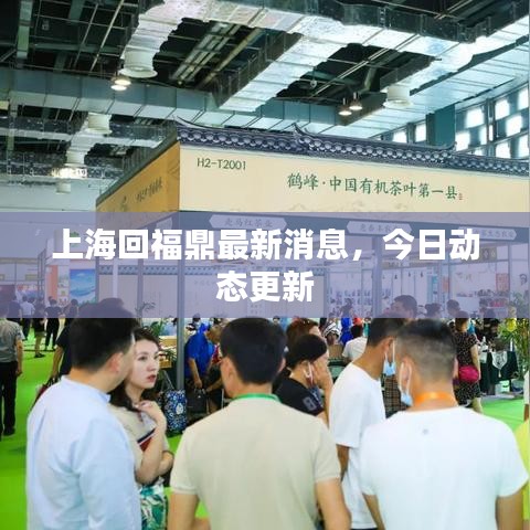 上海回福鼎最新消息，今日动态更新