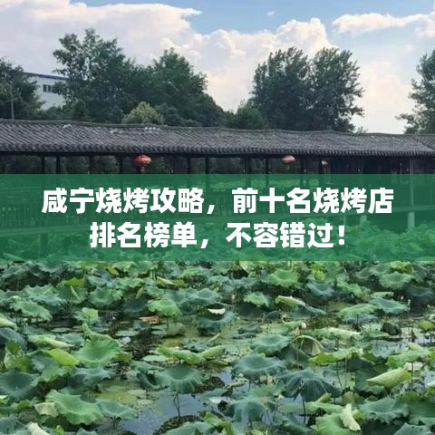 奕城围棋官方下载,涵盖广泛的解析方法_复刻版1_v10.699