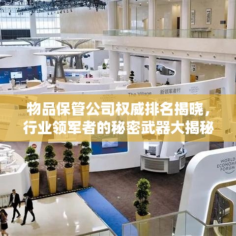 物品保管公司权威排名揭晓，行业领军者的秘密武器大揭秘！