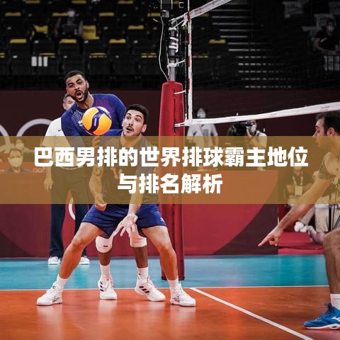 巴西男排的世界排球霸主地位与排名解析