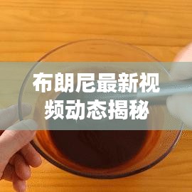 布朗尼最新视频动态揭秘