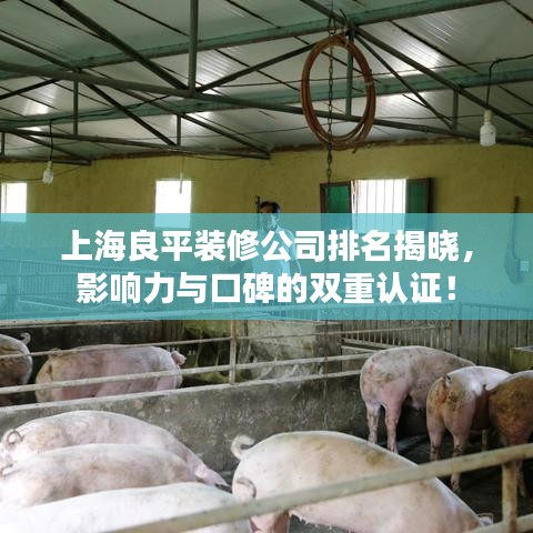 上海良平装修公司排名揭晓，影响力与口碑的双重认证！