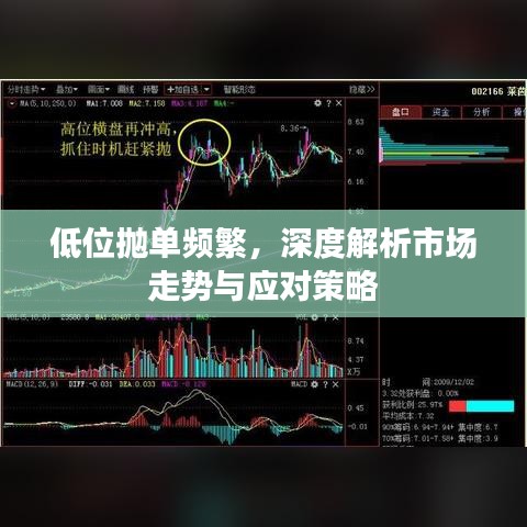 低位抛单频繁，深度解析市场走势与应对策略
