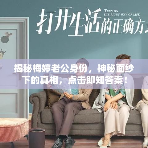 揭秘梅婷老公身份，神秘面纱下的真相，点击即知答案！