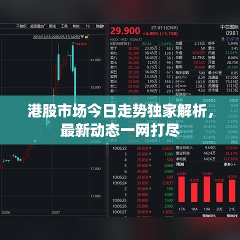 港股市场今日走势独家解析，最新动态一网打尽