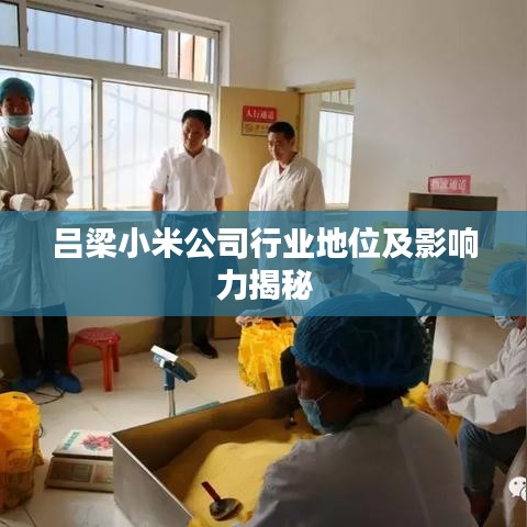 吕梁小米公司行业地位及影响力揭秘