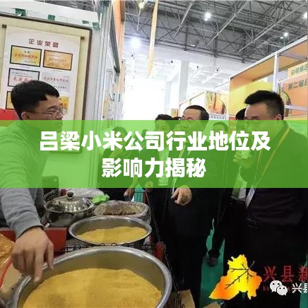 吕梁小米公司行业地位及影响力揭秘