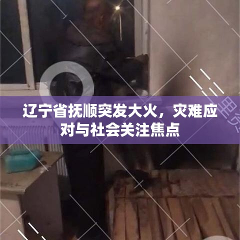 辽宁省抚顺突发大火，灾难应对与社会关注焦点