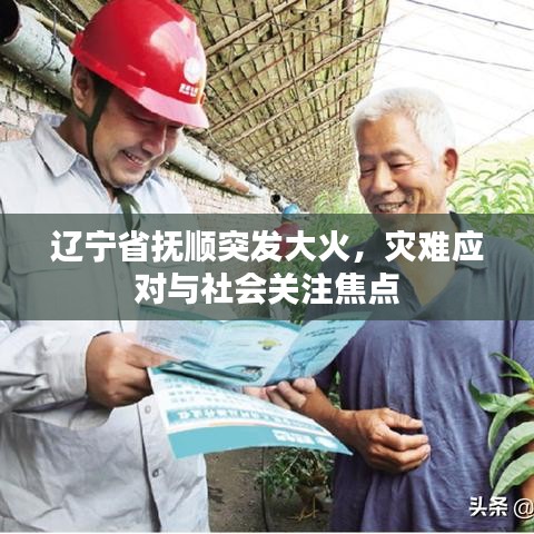 辽宁省抚顺突发大火,灾难应对与社会关注焦点