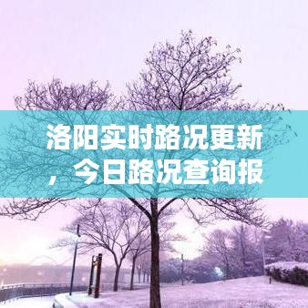 洛阳实时路况更新，今日路况查询报告