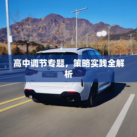 高中调节专题,策略实践全解析