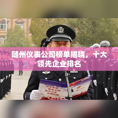 随州仪表公司榜单揭晓，十大领先企业排名