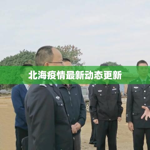 北海疫情最新动态更新
