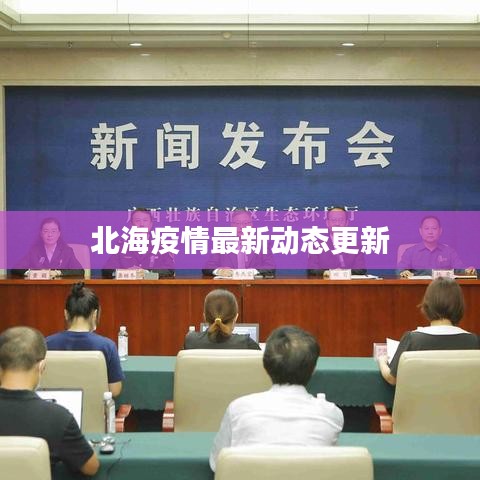 北海疫情最新动态更新