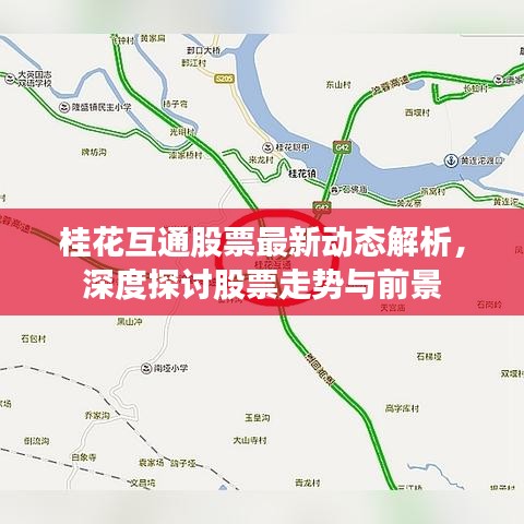 桂花互通股票最新动态解析，深度探讨股票走势与前景