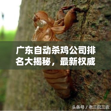 广东自动杀鸡公司排名大揭秘，最新权威榜单来袭！