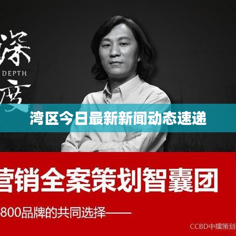 湾区今日最新新闻动态速递