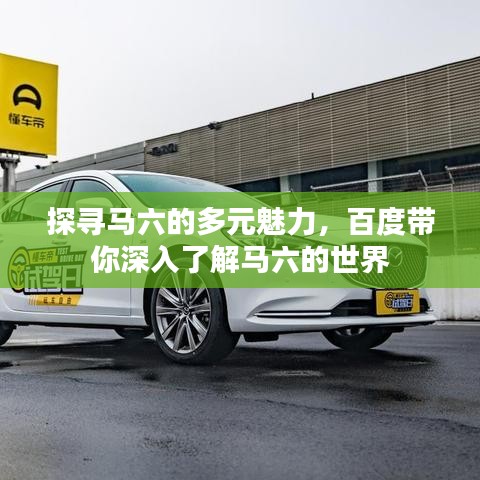 探寻马六的多元魅力，百度带你深入了解马六的世界