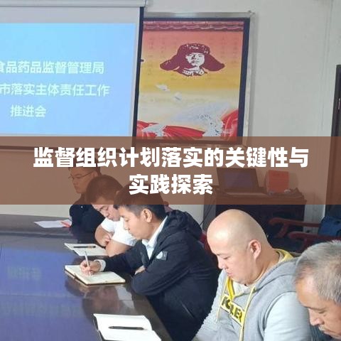监督组织计划落实的关键性与实践探索