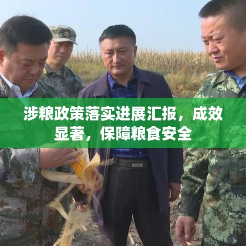 涉粮政策落实进展汇报，成效显著，保障粮食安全