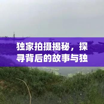 独家拍摄揭秘，探寻背后的故事与独特魅力