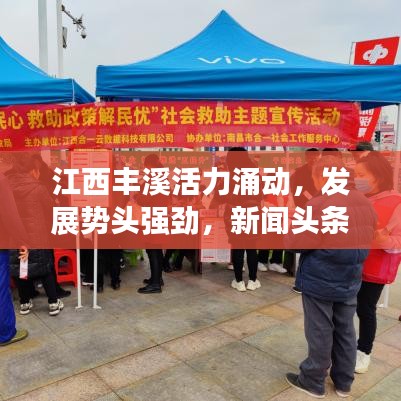 江西丰溪活力涌动，发展势头强劲，新闻头条抢先看！