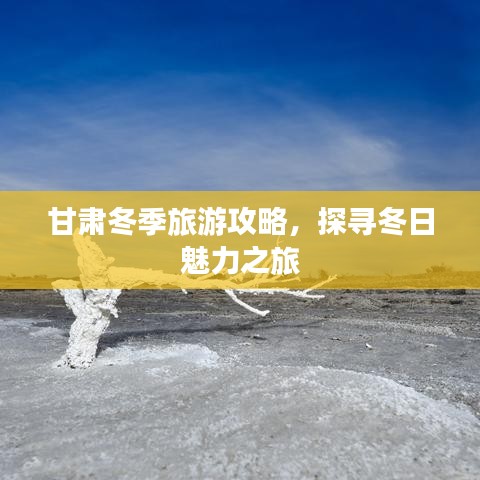 日本恐怖手游同NHK新闻下载官方,前沿研究解析-增强版_v7.897