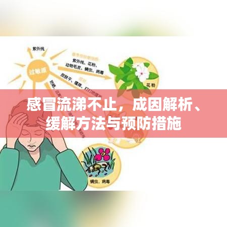 感冒流涕不止，成因解析、缓解方法与预防措施