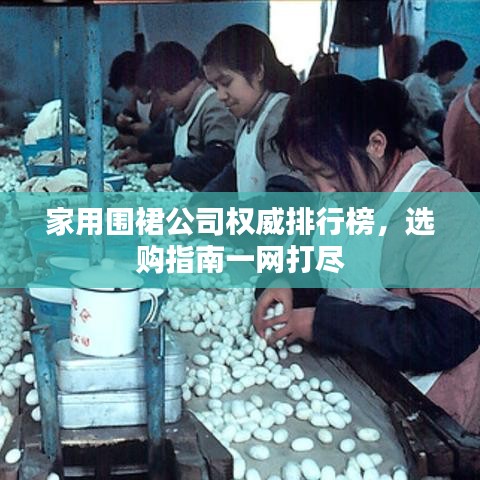 家用围裙公司权威排行榜，选购指南一网打尽