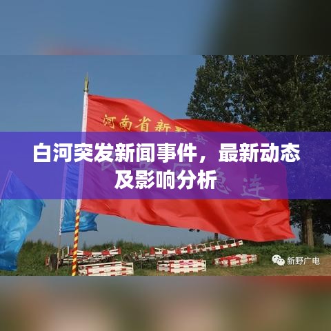 吉光片羽 第6页