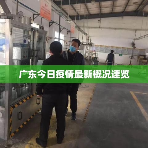 龙飞凤舞 第5页