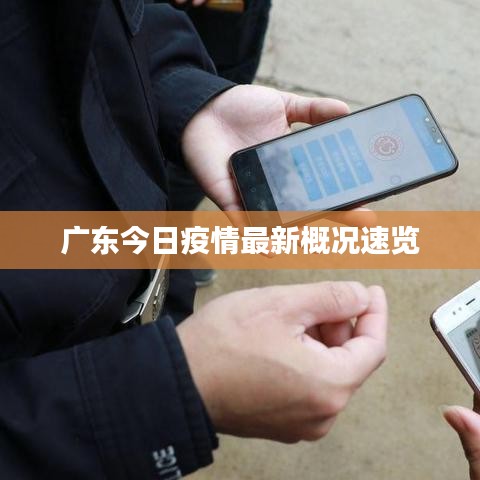 广东今日疫情最新概况速览