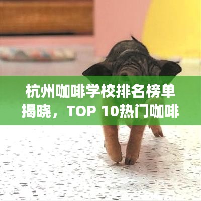 杭州咖啡学校排名榜单揭晓,TOP 10热门咖啡培训机构一览