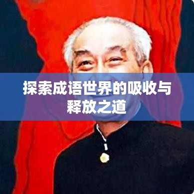 探索成语世界的吸收与释放之道