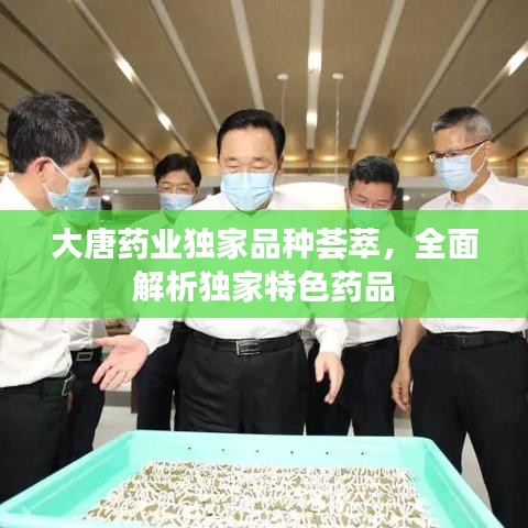 大唐药业独家品种荟萃,全面解析独家特色药品