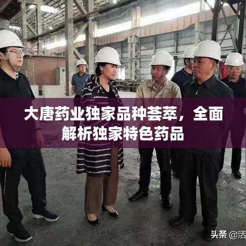 大唐药业独家品种荟萃,全面解析独家特色药品