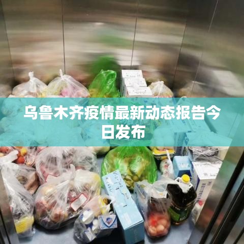 乌鲁木齐疫情最新动态报告今日发布