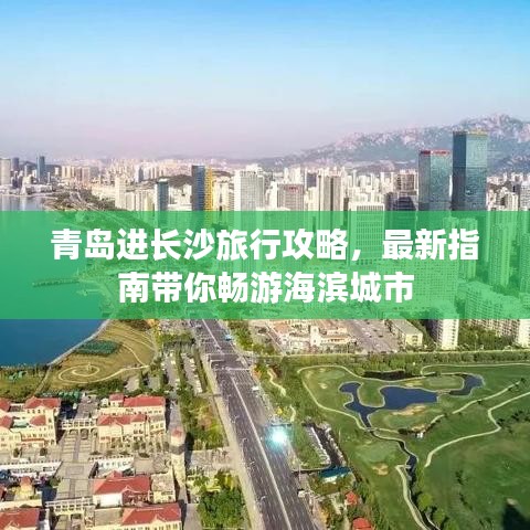 大青云激活码与谷歌相册官方下载，功能对比及实践案例解析说明（工具版 v8.964）