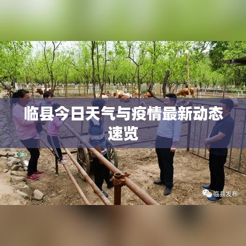 临县今日天气与疫情最新动态速览