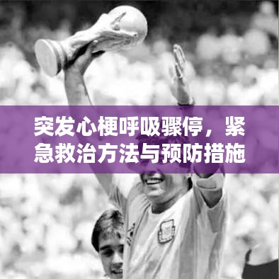 突发心梗呼吸骤停,紧急救治方法与预防措施全解析