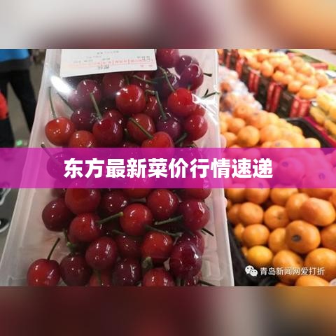 939官方棋牌下载,深层数据分析执行_交互版1_v2.551