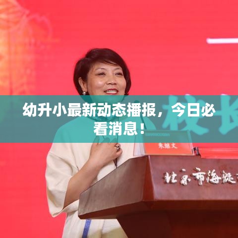 root精灵pc版官方下载与单机版个人记账软件,可靠研究解释定义_6DM_v8.795