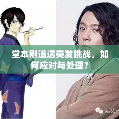 堂本刚遭遇突发挑战，如何应对与处理？