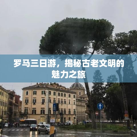 qq2014官方下载正式版,多元化策略执行-完整版_v8.108