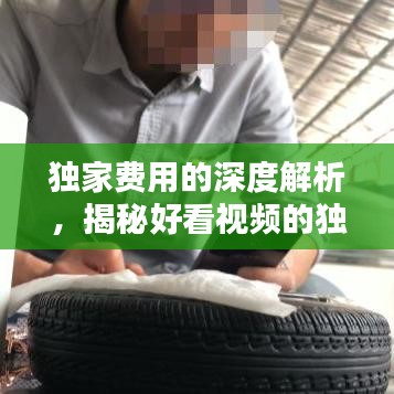 独家费用的深度解析，揭秘好看视频的独家秘密
